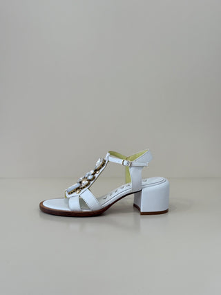 Nelly S5NEWSPICY04 White
