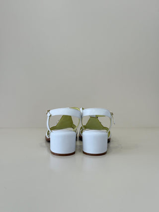Nelly S5NEWSPICY04 White
