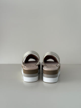 Piso 21975 Glitter Multicolor C9