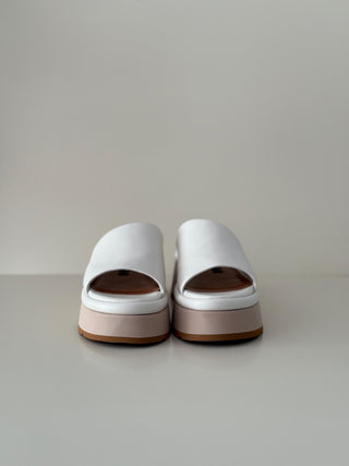 Carmela TL111 Macadamia