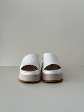 Carmela TL111 Macadamia