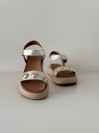 Derya A96050 Gold