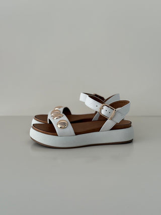 Derya A96050 Crema