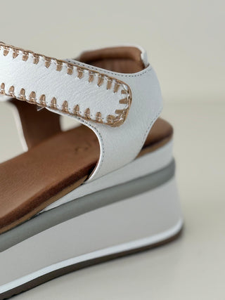 Eda A98023 Crema