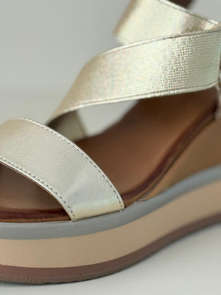 Elif B37004 Gold