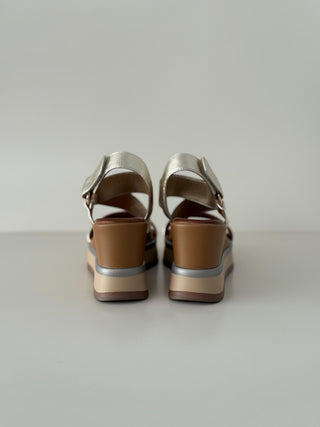 Elif B37004 Gold