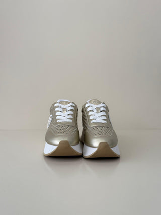 Dreamy 11 Light Gold