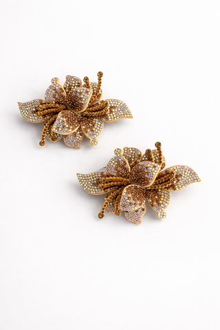 Clip gioiello Gold-Strass Platino